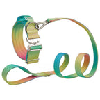 Extra Wide Nylon Dog Collar & Ombre Leash Set – Anti-Pull