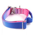 Extra Wide Nylon Dog Collar & Ombre Leash Set – Anti-Pull