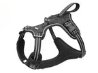 Dog Seat Belt Harness – Crash-Tested Safety Harness for Large Dogs