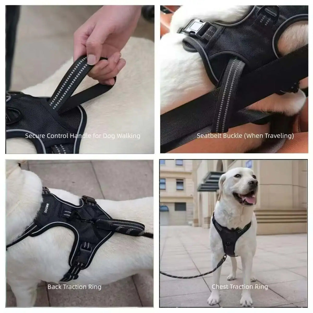Dog Seat Belt Harness – Crash-Tested Safety Harness for Large Dogs