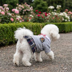 Plaid Dog Skirt Dress – Comfortable Summer Pet Apparel